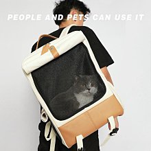 宅貨雙門分類環保箱 收納箱 回收桶 美型垃圾桶 推門木紋垃圾桶 環保箱邊櫃 台灣製 DB-802-雅緻家居 歷史價格詳細信息