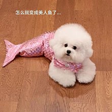 搞笑貓咪假發 寵物獅子假發飾品 小狗頭飾圍脖寵物發飾 寵物用品【雅怡尚品】 歷史價格詳細信息