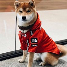 萌寵 柯基犬  彈珠兌換商品   已測試過可使用不會漏水  狗臉有些許掉漆功能正常   /A13-136 歷史價格詳細信息