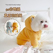 秋冬保暖兩腳衣服 水果系列衣服 狗狗寵物用品貓咪衣服小中大狗犬泰迪新年裝服飾 寵物衣服 歷史價格詳細信息