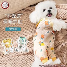 寵寵屋 狗狗胸吊帶牽引繩 狗鏈子 遛狗繩 項圈 吊帶 幼犬小型中型犬牽繩吊帶 寵物用品 歷史價格詳細信息