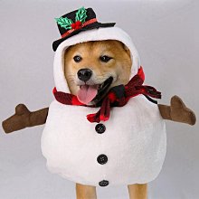 小寵聖誕麋鹿棉窩-L號 歷史價格詳細信息