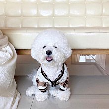 現貨約克USB剃須刀刮鬍刀電源線配件拍下請一定備注剃須刀刮鬍刀型號充電線 歷史價格詳細信息