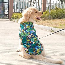 狗狗衣服 夏天透氣薄款 泰迪柯基博美柴犬比熊小型犬寵物夏季 歷史價格詳細信息