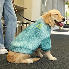狗衣服 金毛德牧薩摩耶大狗肚防水雨天衣服四腳超夯 精品 歷史價格詳細信息