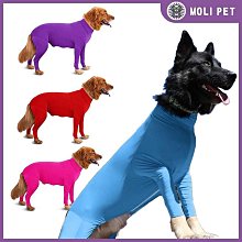 寵物款狗狗彈力牽引繩 大型犬寵物牽引帶胸背帶尼龍狗繩牽引繩 歷史價格詳細信息