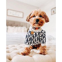 寵物狗衣服蘿莉塔公主裙貓咪比熊洋裝比熊泰迪禮服 寵物衣服 寵物用品 寵物服裝 小型犬狗衣服 狗狗貓貓洋裝 歷史價格詳細信息