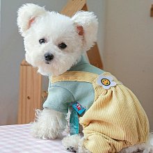 寵物服 寵物狗狗背心吊帶泰迪比熊狗狗背心衣服春夏新款24三只小熊兩腿 歷史價格詳細信息