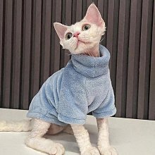 狗衣服 饅頭家衣服狗狗情侶泰迪春夏薄款背心恤超夯 精品 歷史價格詳細信息