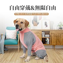 DOTON 狗狗衣服 狗雨衣 金毛 柯基雨衣 寵物衣服 反光 尼龍材質 歷史價格詳細信息