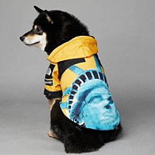 衝鋒寵物雨衣 三色可挑 寵物外出雨衣 狗雨衣 四腿全包雨衣 防水功能 寵物雨衣 速寄 衝鋒雨衣 衝鋒衣 歷史價格詳細信息