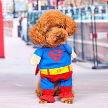 寵物衣服－超人Superman－厚棉質－狗狗貓咪配件－全面特價中〈買三件以上送寵物紓壓玩偶玩具乙支〉 歷史價格詳細信息