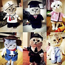 搞笑寵物變身裝 寵物貓咪狗狗搞怪衣服變裝(4號)_☆找好物FINDGOODS☆ 歷史價格詳細信息