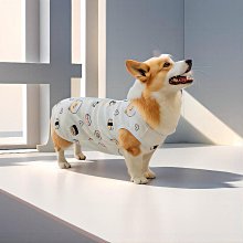 狗衣服 衣服夏季薄款幼貓剃毛無袖矮腳貓貓背心超夯 精品 歷史價格詳細信息