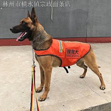 【史努比反光減負國小書包】國小防走丟一到六年級減壓護脊書包小學生護脊輕量拉桿包 怡寶書包大容量後背包後背包國小學生 歷史價格詳細信息