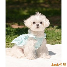[Tinker.co] 轉賣 暖暖杏色格紋大圍巾   yabbi星rika 心田 小穎kashin韓妮may_5253 歷史價格詳細信息