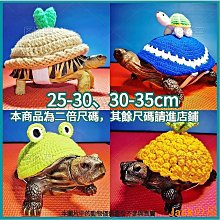 【烏龜水豚23cm】水豚君抱枕 卡皮巴拉 睡覺抱枕 娃娃 造型抱枕 生日禮物 HNBE41 歷史價格詳細信息