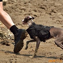 【 防潑水】貓咪印花手提肩背包 日系簡約文青風格 貓奴必備 抱抱貓咪 抱抱喵星人 防潑水帆布 側背手提帆布袋-黑/白【A 歷史價格詳細信息