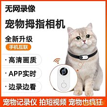 攝影 動物 輕飄飄北長尾山雀 (Beverly, 300片, 300-101,  日本拼圖) 歷史價格詳細信息