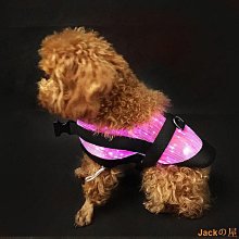 寵物【炫彩幾何系列】ZeeDog狗狗牽引繩金毛泰迪寵物用品遛狗鏈繩牽引繩 歷史價格詳細信息