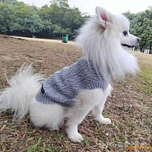 小狗狗衣服柯基專用柴犬秋冬裝冬款加厚法鬥寵物小型幼犬中型冬季 全館免運超夯 正品 活動 優惠 歷史價格詳細信息