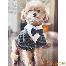 狗衣服 裙中小型貓犬服裝泰迪比熊法斗貓咪裙子超夯 精品 歷史價格詳細信息