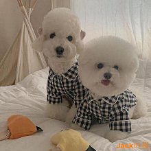 【現貨】夏季薄款泰迪小狗狗寵物貓衣服比熊雪納瑞博美柴犬柯基小型犬夏天 歷史價格詳細信息