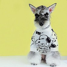 潮牌寵物運動衫 夾克衛衣大衣運動服外套 柯基法國鬥牛犬雪納瑞中小型犬 泰迪比熊博美狗狗衣服 寵物春節喜慶春秋冬保暖衣物 歷史價格詳細信息