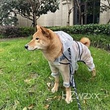 狗狗雨披 寵物衣服 狗狗雨天外出彩色太陽斗篷四腳雨衣中小型犬防水全包寵物泰迪衣服 萌寵樂 歷史價格詳細信息