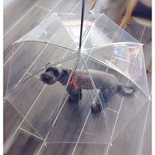 遛狗繩透明寵物雨傘狗狗C型雨傘寵用品廠家直銷可調節雨天遛狗牽引繩 免運 歷史價格詳細信息