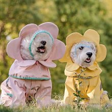 遛狗繩薄款可愛狗狗牽引繩狗狗繩子胸背帶狗鏈子外出遛貓繩貓鏈寵物用品 免運 歷史價格詳細信息