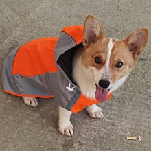 衝鋒寵物雨衣 三色可挑 寵物外出雨衣 狗雨衣 四腿全包雨衣 防水功能 寵物雨衣 速寄 衝鋒雨衣 衝鋒衣 歷史價格詳細信息