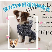 韓系寵物防舔咬圈 伊莉莎白頭套 貓狗羞恥圈 超輕柔不刮膚【寶寶藍】M號 歷史價格詳細信息