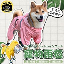 馬克西米安,羅馬副帝,古羅馬銅幣,富利錢幣,公285-3164045 歷史價格詳細信息