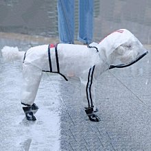 衝鋒寵物雨衣 三色可挑 寵物外出雨衣 狗雨衣 四腿全包雨衣 防水功能 寵物雨衣 速寄 衝鋒雨衣 衝鋒衣 歷史價格詳細信息