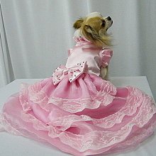 （）客制手工飾品 俄羅斯戳戳繡 毛線繡 手工刺繡diy材料包 擺件裝飾畫 手工美勞打發時間 交換禮物 歷史價格詳細信息