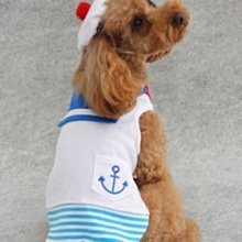 【寵物】日本Pompreece (現貨) 薄款微笑帽T 臘腸 歷史價格詳細信息