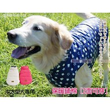 狗衣服 中型大型犬幼犬柴犬防掉毛金毛衛衣冬裝超夯 精品 歷史價格詳細信息