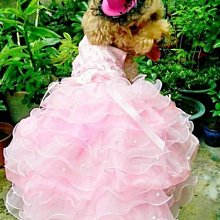 敗犬女王寵物手工衣精品館 ~狗狗西裝量身訂作~黑色線條無袖時尚西裝~可客制化 歷史價格詳細信息