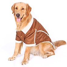 新款春裝秋冬季狗狗衛衣萬聖節變身裝可愛卡通貓咪兩腳衣寵物衣服 全店滿400元發貨 小琦琦の店 歷史價格詳細信息