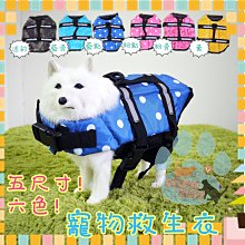 貓泳衣 薄款狗狗衣服 寵物帽衫 Cosplay搞怪貓衣服 可愛比基尼貓咪衣服寵物泳衣 透氣薄款寵物衣服 狗狗連帽衫 歷史價格詳細信息