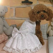 敗犬女王寵物手工衣精品館 ~狗狗西裝量身訂作~黑色線條無袖時尚西裝~可客制化 歷史價格詳細信息