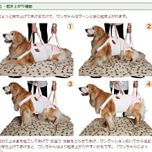 透氣收腹月要帶運動護月要固定月要託柔軟彈力帶雙重加壓護月要帶 歷史價格詳細信息