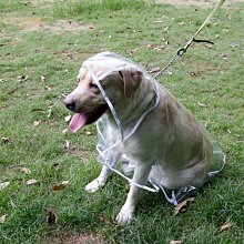 現貨 特價 -滿599上＋子＋開襠 旗袍情趣三件組｜M84704426｜情趣睡 性感睡 透明睡 薄紗睡 歷史價格詳細信息