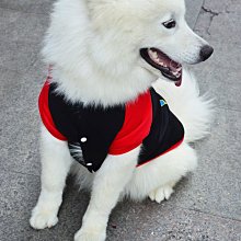 寵物衣服－超人Superman－厚棉質－狗狗貓咪配件－全面特價中〈買三件以上送寵物紓壓玩偶玩具乙支〉 歷史價格詳細信息