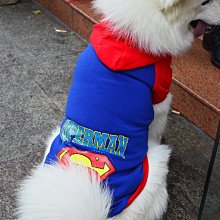 寵物衣服－超人Superman－厚棉質－狗狗貓咪配件－全面特價中〈買三件以上送寵物紓壓玩偶玩具乙支〉 歷史價格詳細信息
