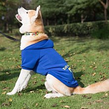 寵物帶頂狗圍欄貓籠子小型犬泰迪博美狗塑料柵欄法斗護欄江桃溪 歷史價格詳細信息