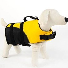 進口寵物嗅聞耐咬耐撕寵物玩具黑白報紙【培菓寵物】 歷史價格詳細信息