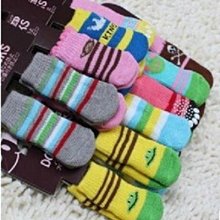 【監獄寵物館】日本 PETCO 寵物綁帶生理褲 **破盤大特價優惠，賣完不再進貨** 歷史價格詳細信息