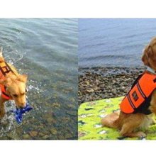 特價優惠日本代購品牌Mtricpop  顏色黑色相容的裝置智慧型手機特殊功能遙控 歷史價格詳細信息